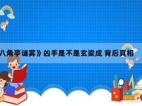 《八角亭谜雾》凶手是不是玄梁成 背后真相实在让人惊愕【365娱乐资讯网】