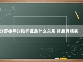 三分野徐燕时陆怀征是什么关系 背后真相实在令人震惊【365娱乐资讯网】