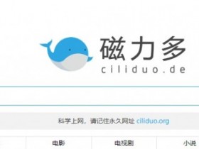 磁力多:小众的bt磁力搜索引擎【365娱乐资讯网】