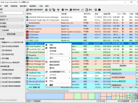 Bulk Crap Uninstaller v5.7便携版【365娱乐资讯网】