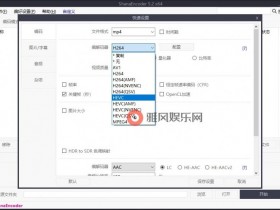 ShanaEncoder v6.0.1.6中文版【365娱乐资讯网】