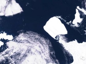 30年来首次！世界最大南极冰山移动恐阻断企鹅觅食路、海上航运【365娱乐资讯网】