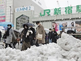 东京大雪警报各地积雪降雪隔天学企鹅走路更安全【365娱乐资讯网】