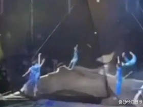 蹦床表演时演员被“弹飞”？上海马戏城回应【365娱乐资讯网】