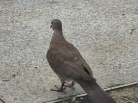 逛完鹰角的集成映射展,我才发现《明日方舟》不是个单机游戏【365娱乐资讯网】