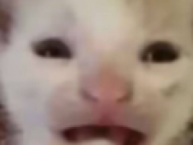 直播换内裤的B站千万粉丝UP主结束了荒岛求生,我却有了戒断反应【365娱乐资讯网】