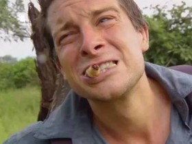 谁说SOC游戏就必须当原始人?这游戏基本拼高达了【365娱乐资讯网】