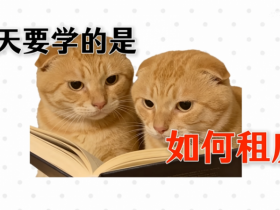 几天涨粉一百万的“耄耋”老师,真能让年轻人学会干货吗?【365娱乐资讯网】