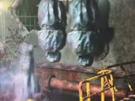 营销号冒死揭露化骨池真相,浣熊市文旅一年白干【365娱乐资讯网】