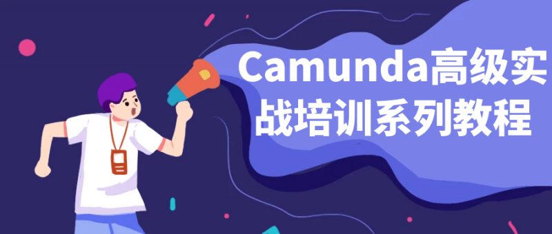 Camunda高级实战培训系列教程