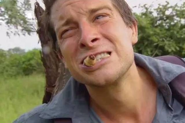 谁说SOC游戏就必须当原始人?这游戏基本拼高达了【365娱乐资讯网】