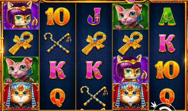 埃及神猫:探寻古埃及的未解之谜【365娱乐资讯网】