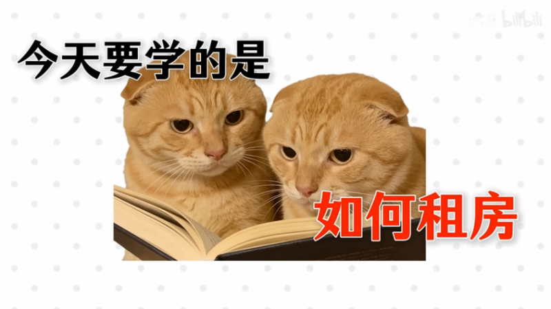 几天涨粉一百万的“耄耋”老师，真能让年轻人学会干货吗？【365娱乐资讯网】