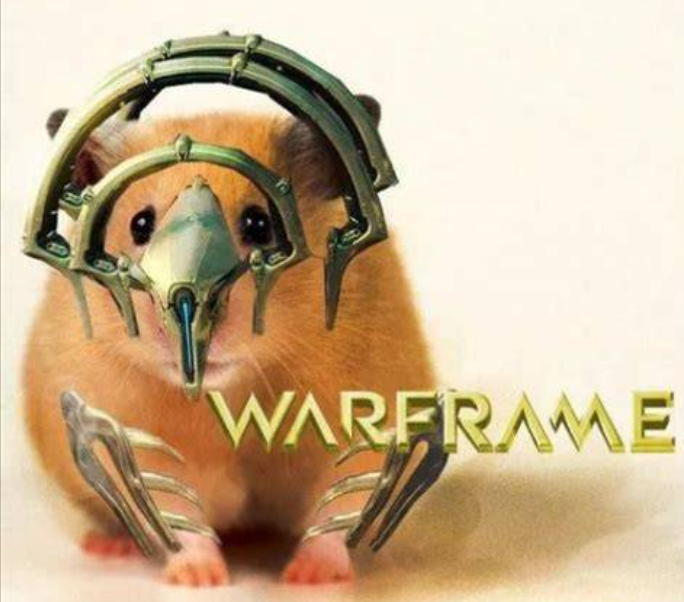 《Warframe》社区总监Megan专访：激情与热爱【365娱乐资讯网】